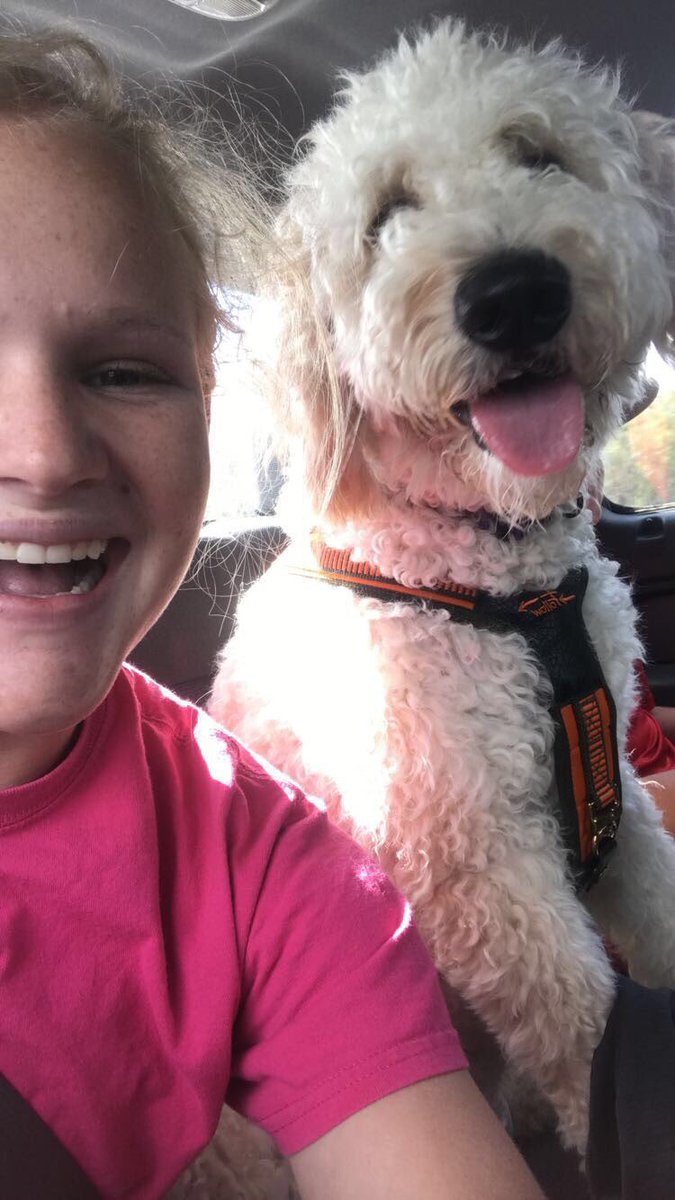 tmacera's tweet photo. These two are happy to be out! #OutoftheHospital #OutoftheHouse https://t.co/RiPwYJN7z1