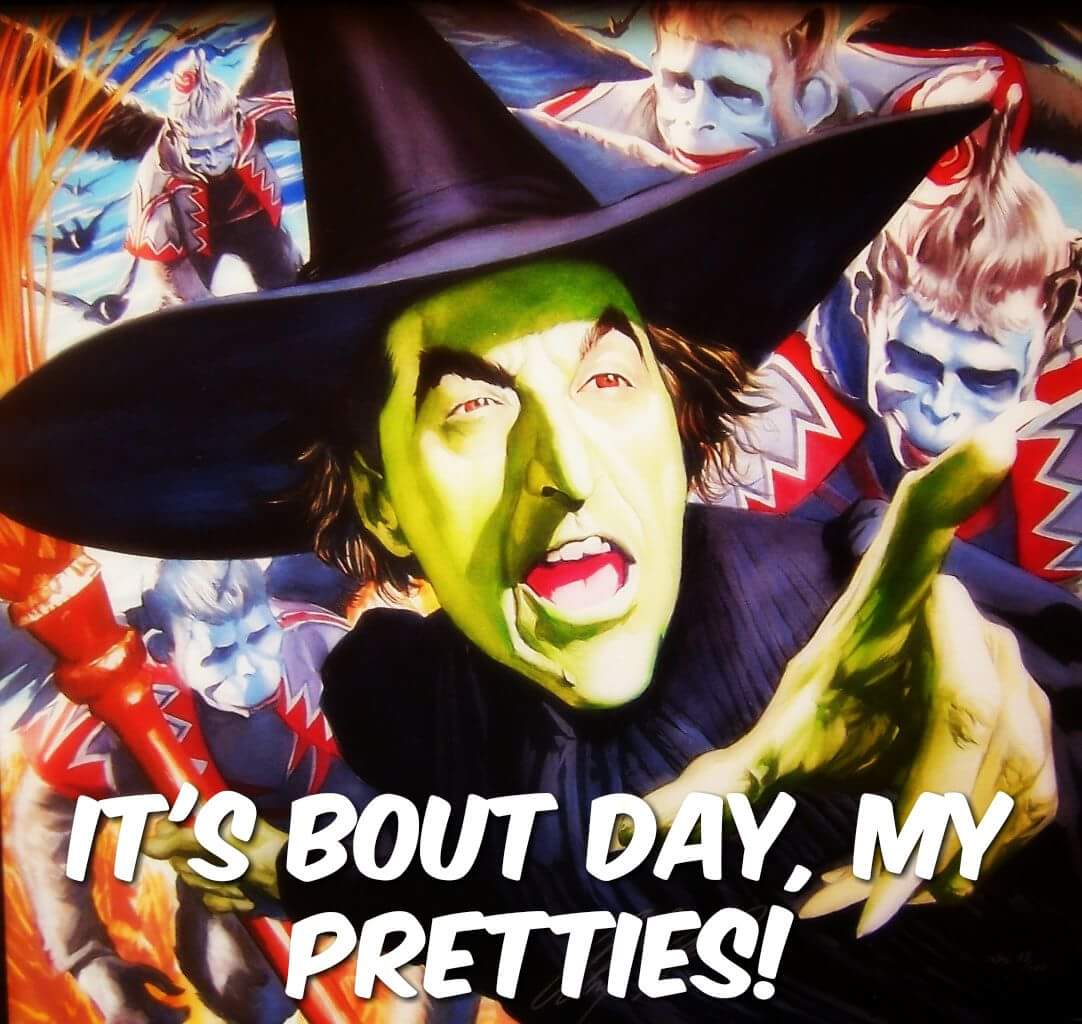 SDRollerDerby's tweet photo. You heard the witch! It's BOUT DAY! #monstersmash #SanDiego #rollerderby https://t.co/gEC2JMCXjI