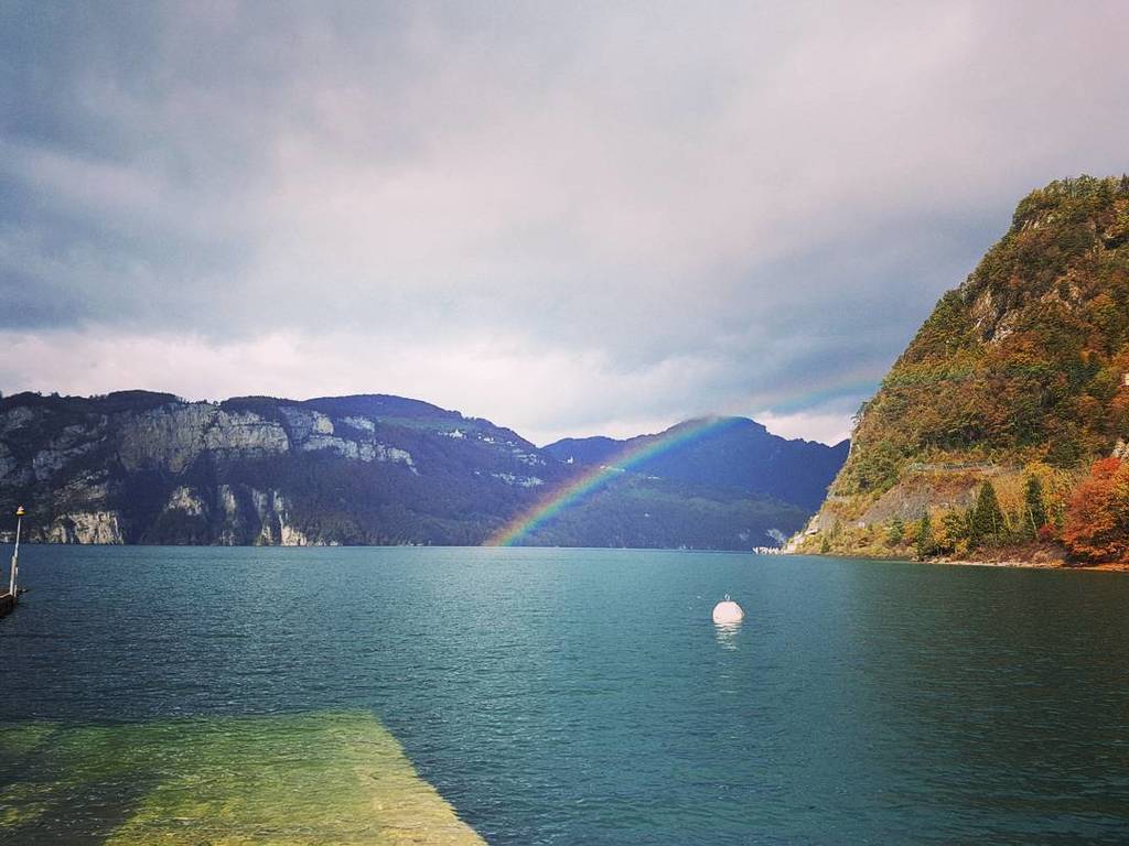 IlsankerGeeky's tweet photo. Regenbogen auf dem Urnersee. ⛵🚤🛳⛴⛅🌬🌊 #urnersee #Sisikon #uri #Zentralschweiz #vierwaldstättersee #Starkwind #Regen… https://t.co/Xct9kmfVBv https://t.co/DYjrXS4YdV