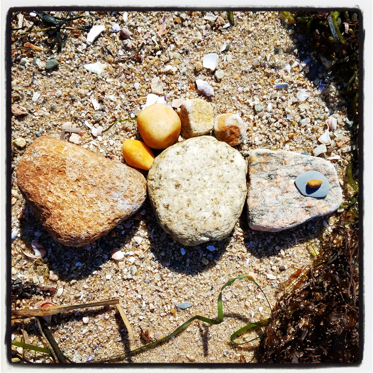 foundFISHheidi's tweet photo. OctoberisforbirthdaysFish #foundfish #foundfishbuzzardsbay @foundFISHheidi https://t.co/0cdTRmmD7i