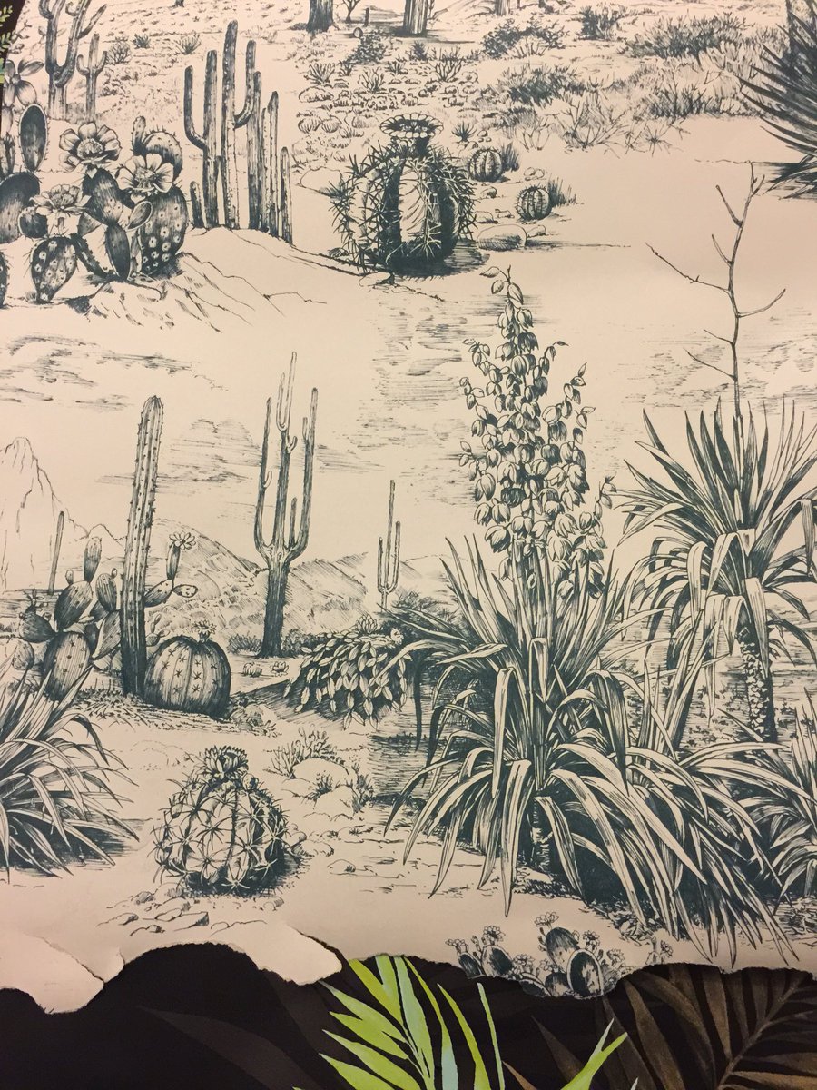 CactusDirect's tweet image. Impressed with the fantastic #cactus wallpaper from @BandQ today. Planning wallpapering of walls. #largecactus