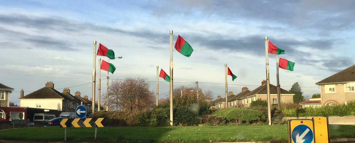 FoxVeterinary's tweet photo. The flags are up @BallymunGAA best of luck in the final. #CountyFinal https://t.co/XNg1nvPtiE