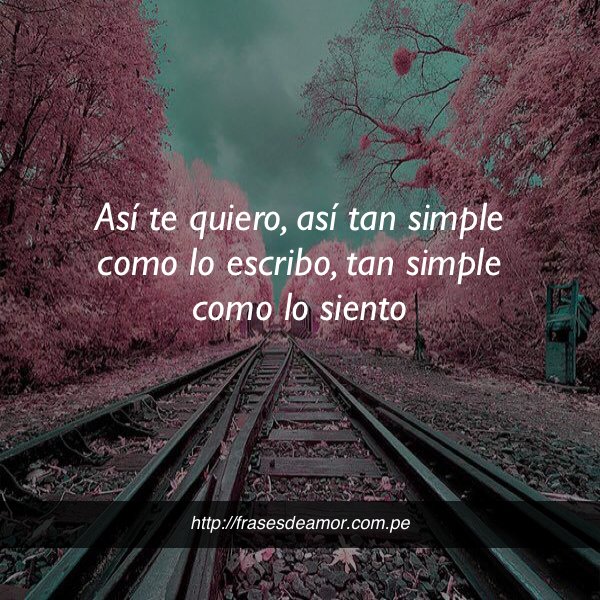 frasesDamorr2's tweet photo. Así te quiero, así tan simple #frasesdeamor https://t.co/AtWIH6O2wH https://t.co/bJohGlvirM