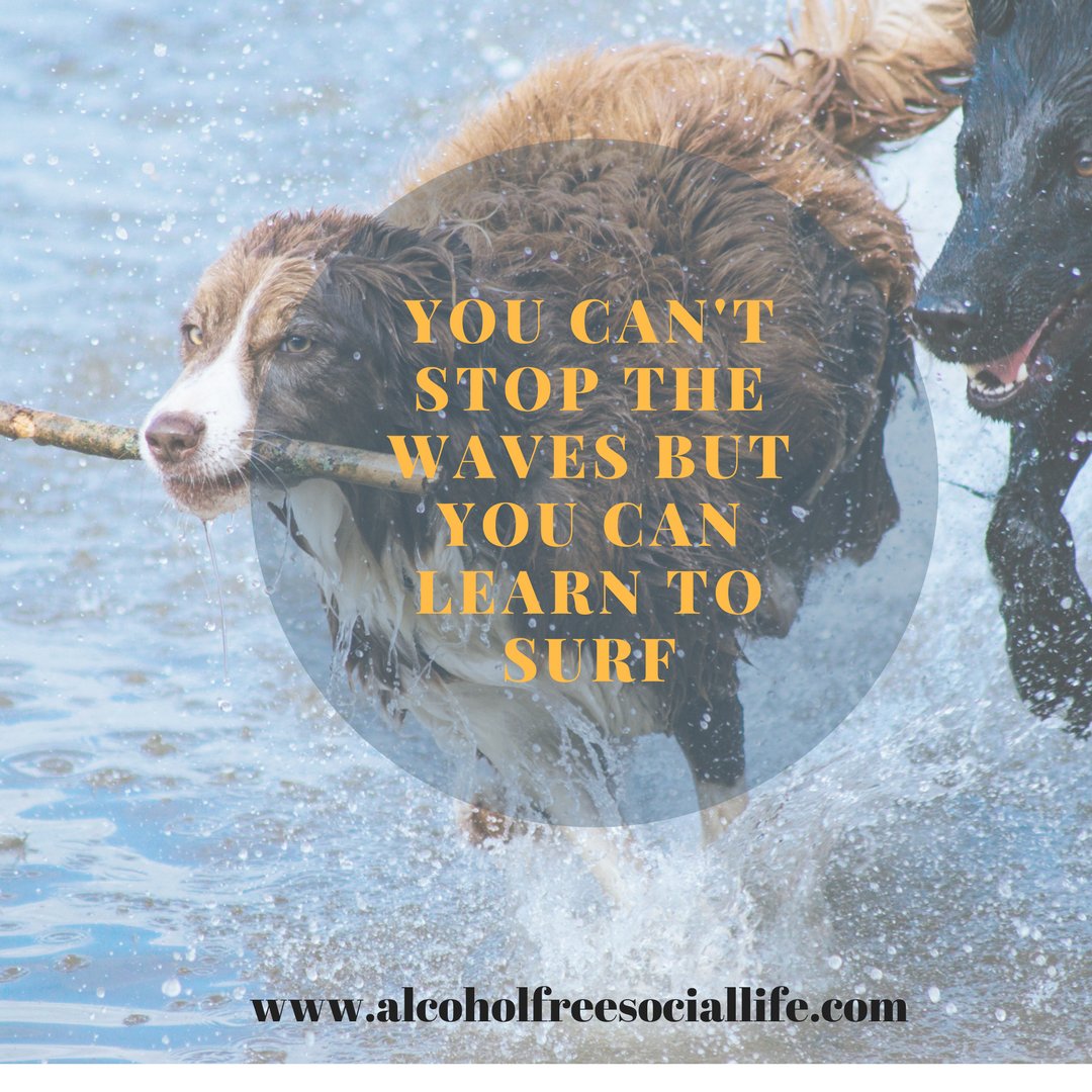 GiveUpAlcohol's tweet photo. #SundayMorning a #GoPackGo motivation to keep on going in hard times https://t.co/jkyWZN7LhU #AlcoholFreeSocialLife #HowToGiveUpAlcohol..! https://t.co/wcz9WKBtHF