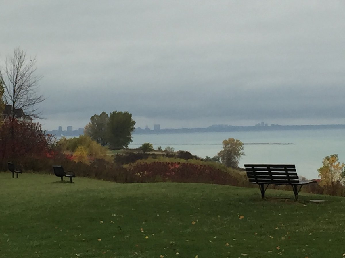 cinders23's tweet photo. @Mark_Baden What a difference a day makes! #poundingrain https://t.co/xARch1oGag
