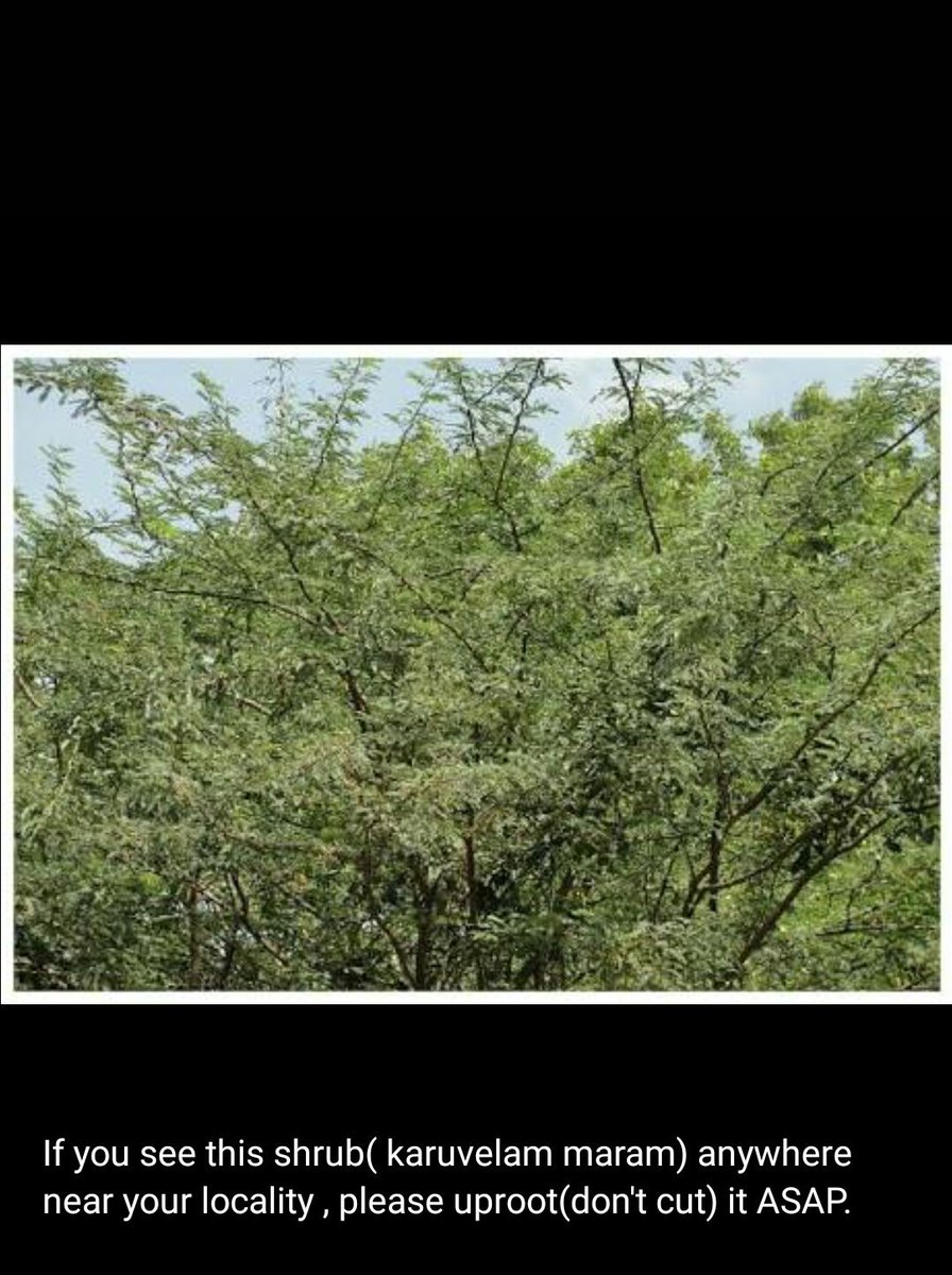 ZeeFz16's tweet photo. #savewater #saveindia  #TamilNadu 
One serious issue which most of the people are not aware of yet. https://t.co/NgPFWakkzf