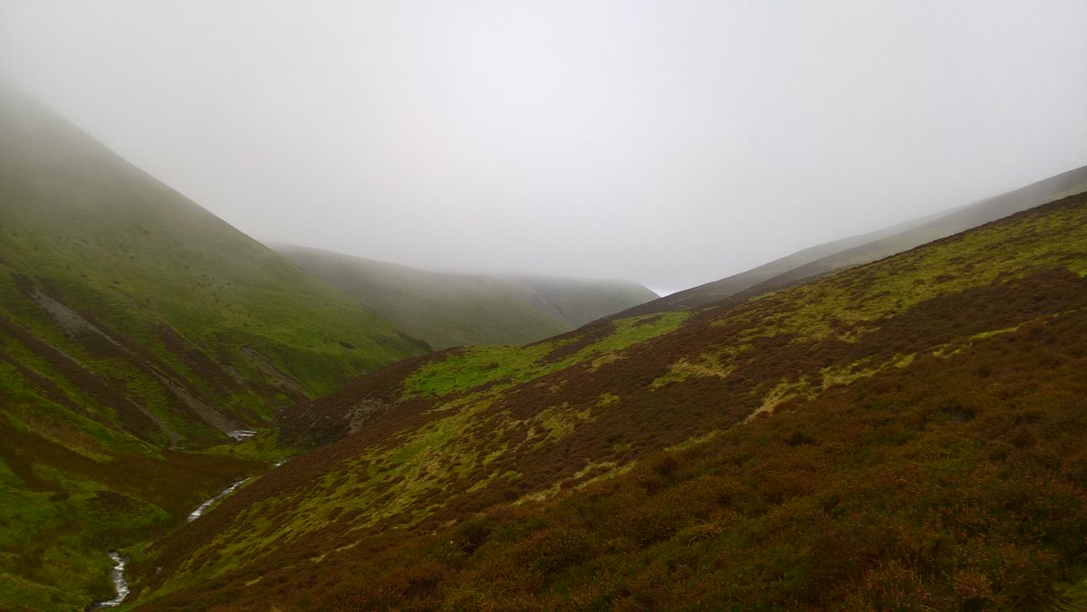 louisdad's tweet photo. A quick wander this morning over Great Cockup (I know 😂) A bit breezy on top, but better than being in an office! #getoutside #LakeDistrict https://t.co/UvUXxkT5Tp
