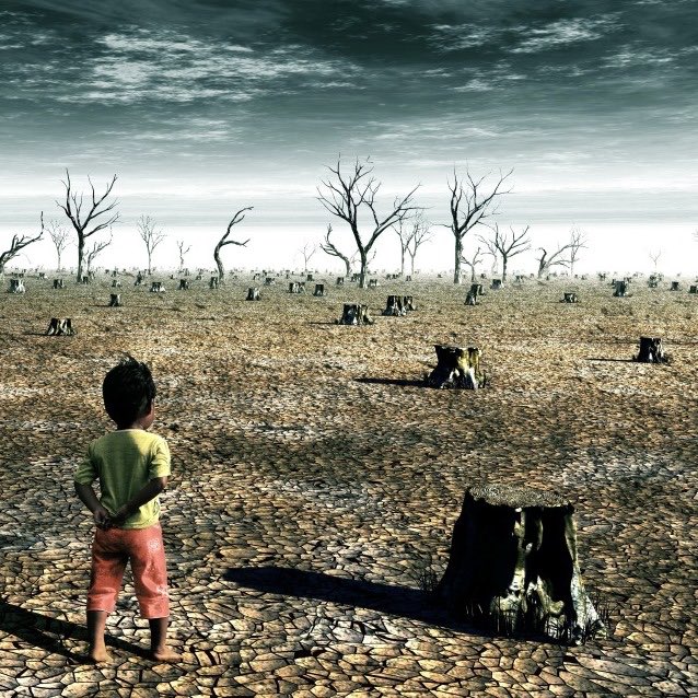 AdamRogers2030's tweet photo. #ClimateChange poses biggest global challenge requiring #economic #social &... https://t.co/mYSpdwdQ55 by #UNDPPalestinian https://t.co/yrn6I5FElu