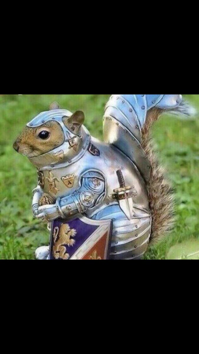 SquirrelOnField's tweet photo. We can do it!! #PackersvsSaints #GoPackGo @packers https://t.co/MXhAgyCVAN
