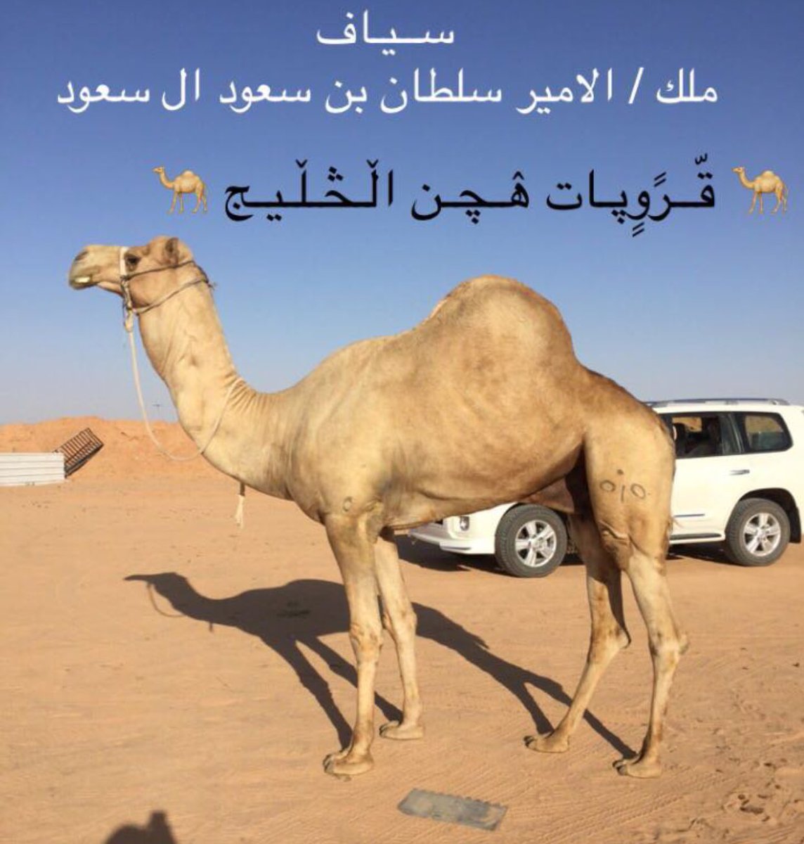 ThomasPerezNFT's tweet photo. @511_abdulmalik  https://t.co/E0irzy3EVV