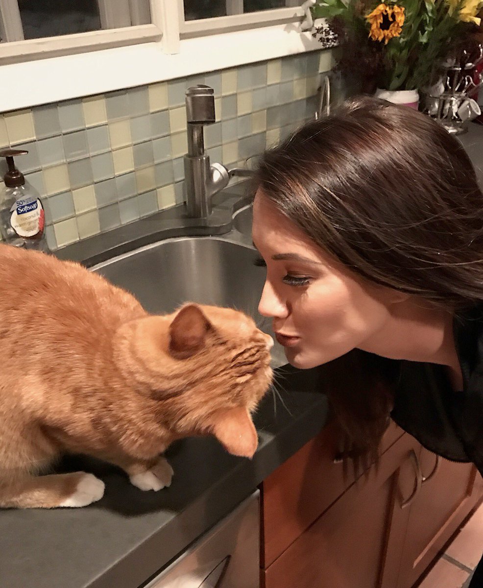 shanedawson's tweet photo. when my cat got farther with her than i did https://t.co/TApra1c6ik