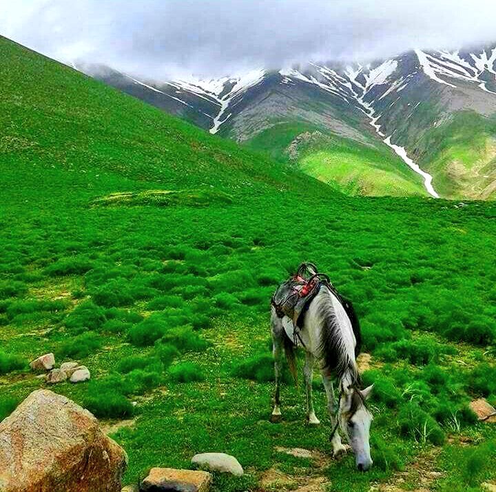 GHesenli12's tweet photo. Dağlardan başladım Vətən sevməyə...
Ordubad, bizim kəndimiz... https://t.co/et3GOxALbY