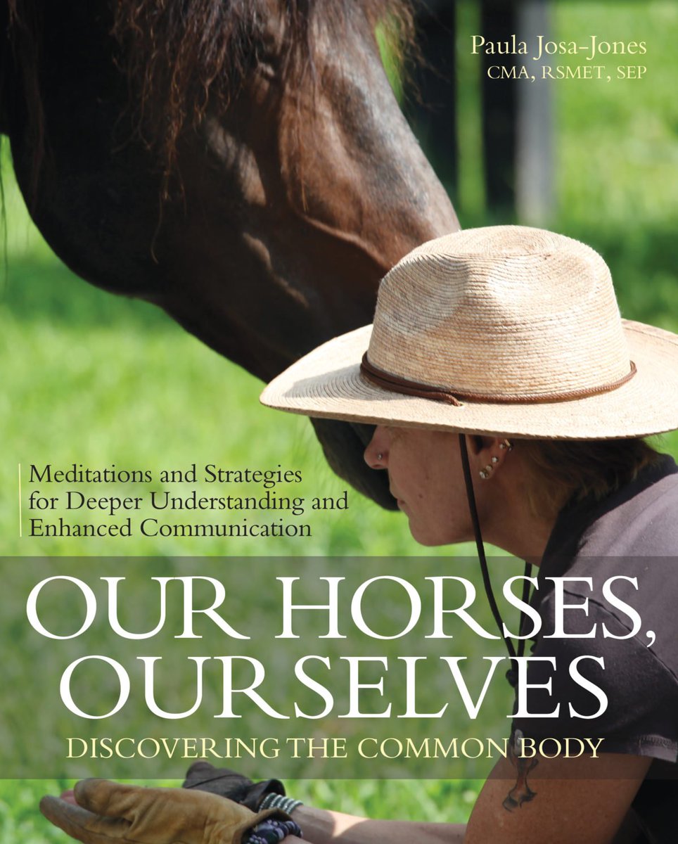 HorseTango's tweet photo. A Heartfelt Roadmap to Connection #pets https://t.co/8nn30Z345j https://t.co/Vd47cMIa9n