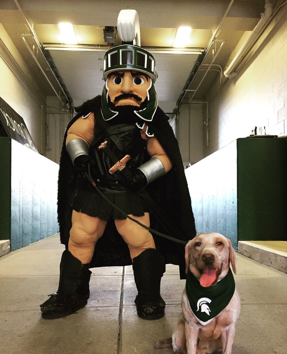 TheRealSparty's tweet photo. A bowl game is coming...
#GOT
#JonSnow #Ghost https://t.co/6g2wSszlUw