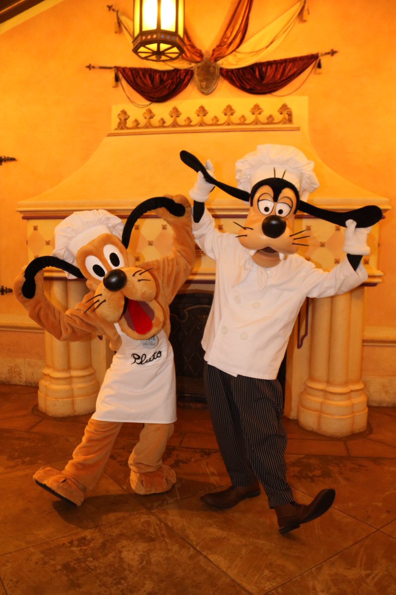 360DegreesofDis's tweet photo. #ChefGoofy and #ChefPluto ate more than they cooked at #HongKongDisneyland! #HKDL #Fantasyland #Goofy #Pluto #DisneyChef #DisneyDogs #Disney https://t.co/CxbjAE0yQh