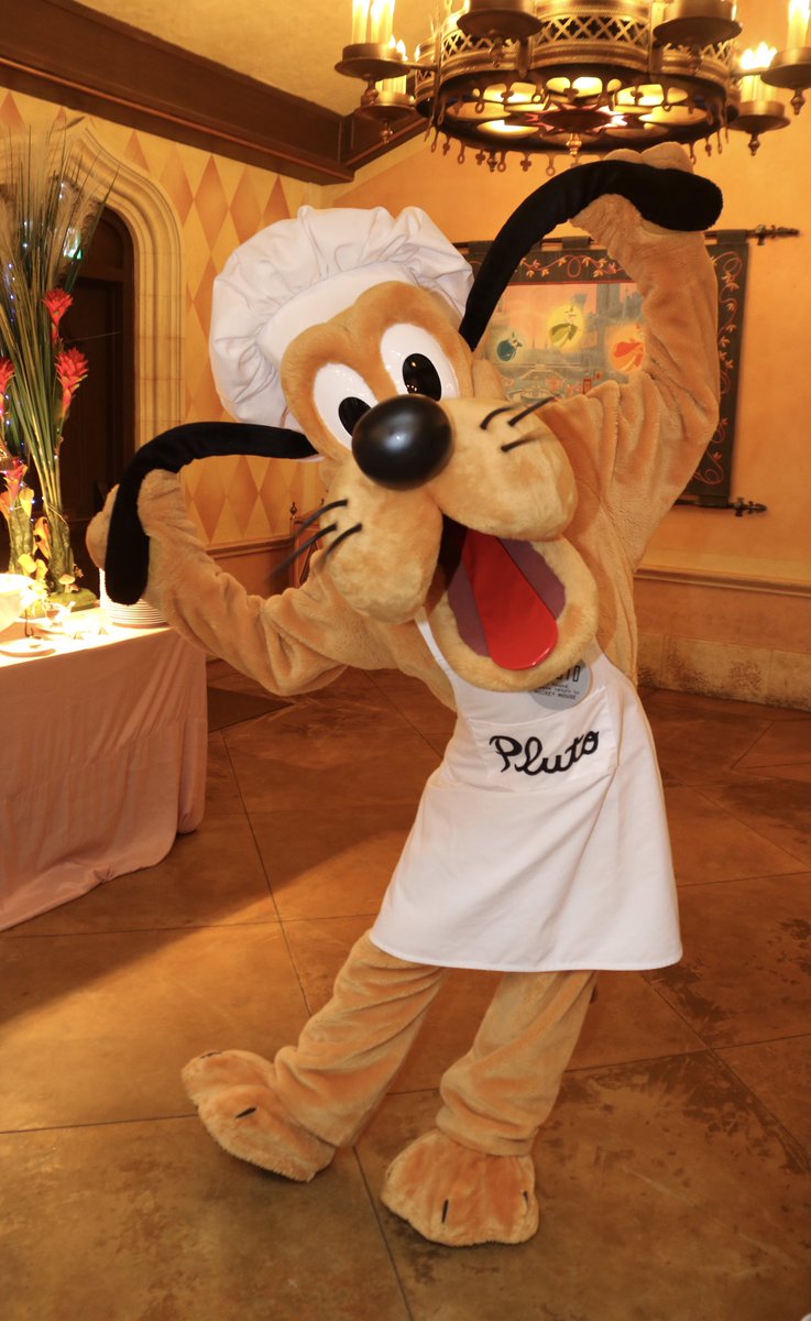 360DegreesofDis's tweet photo. #ChefGoofy and #ChefPluto ate more than they cooked at #HongKongDisneyland! #HKDL #Fantasyland #Goofy #Pluto #DisneyChef #DisneyDogs #Disney https://t.co/CxbjAE0yQh