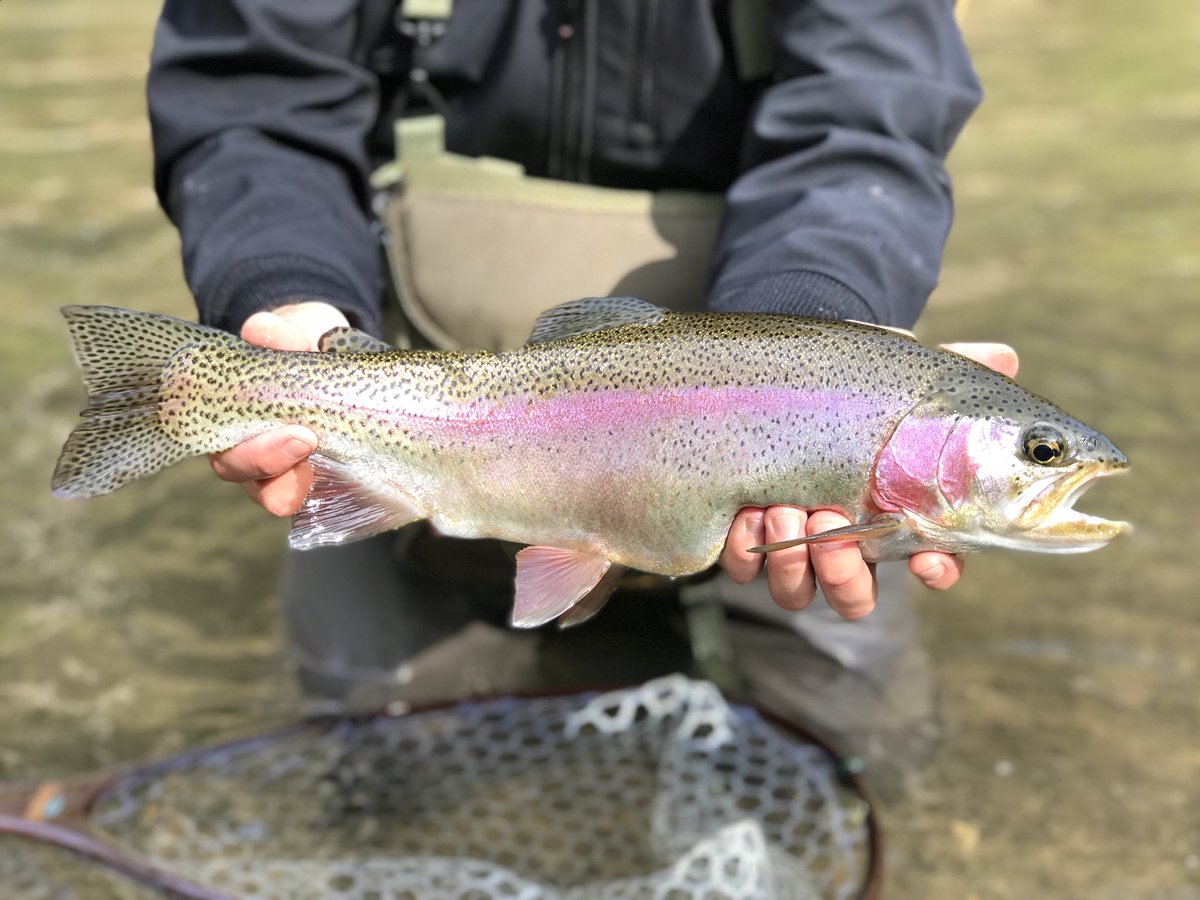 Scott ✝️ tweet media