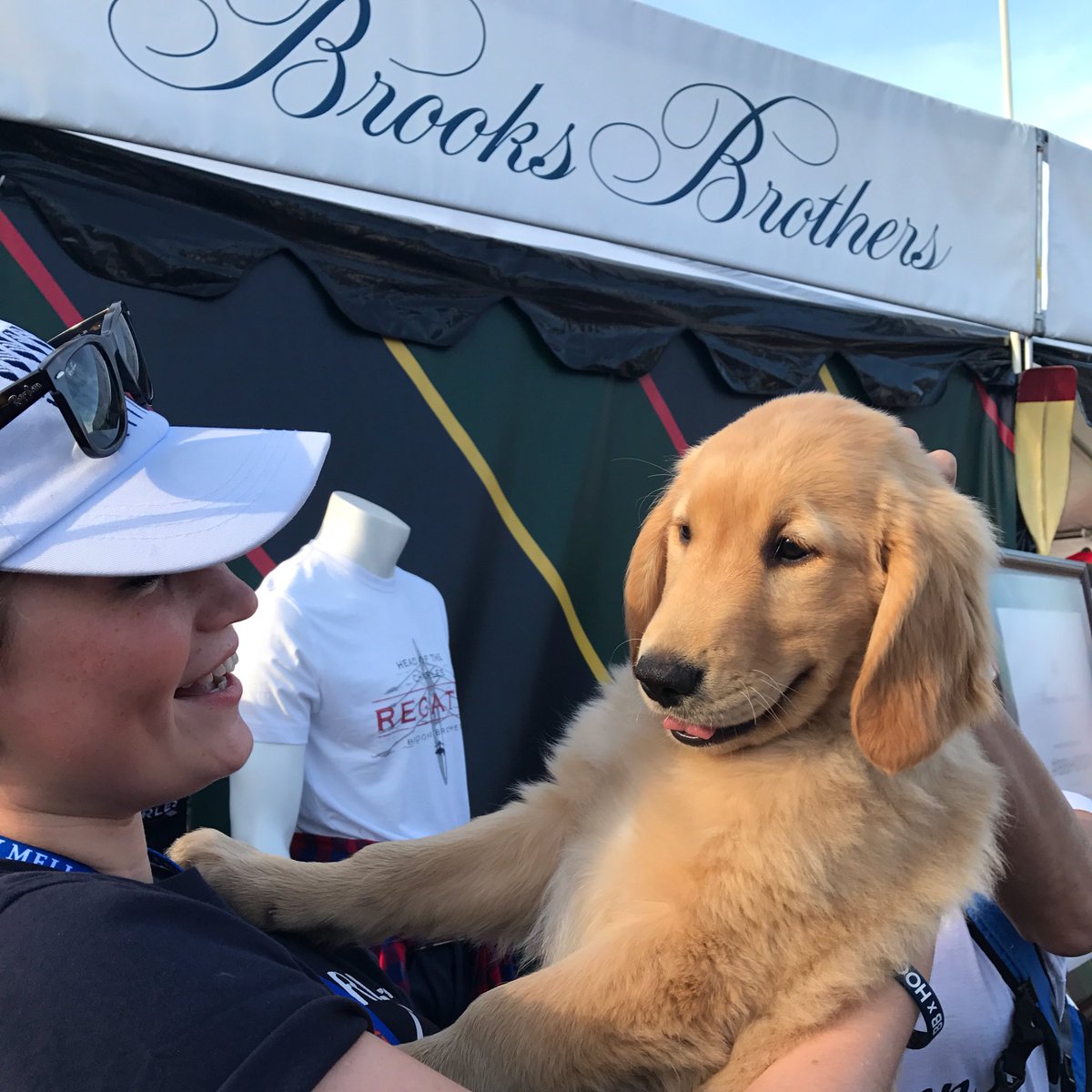 BrooksBrothers's tweet photo. Live puppy cam from the Brooks Brothers #HOCR pop-up 🛶🐶 https://t.co/KQV12FIof2
