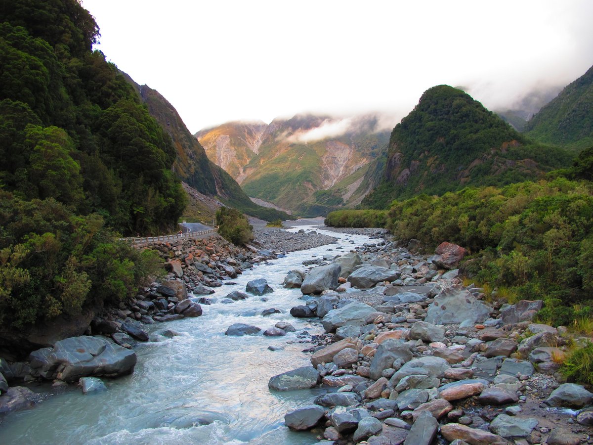 MyGuideNZ's tweet photo. More than ice on #walks around #Fox #Glacier on the #westcoast #myguidetips #newzealand https://t.co/XVRYQHtFQs