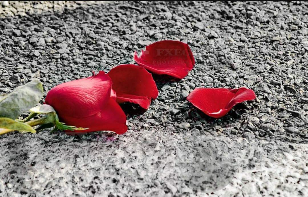 Bazen lütuf olur şükürden âciz hissedersin , bazen imtihan olur sabırdan âciz ..."
Hayırlı geceler.......🥀