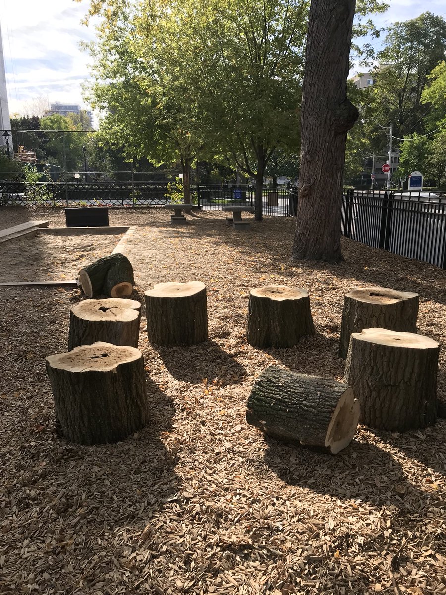 jicslabschool's tweet photo. Tree stumps newly added to playground for the children to use anyway they wish. #seating #obstacle-course #JumpingPlatform @NaturlCuriosity https://t.co/ULvu95OowQ