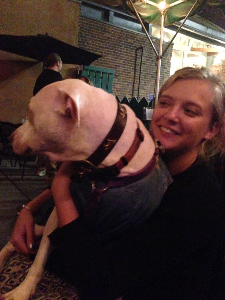 vicki_will's tweet photo. last night i had a denim jacket wearing jack russell/pit cross on me (😍) oh and conf went well too #SCLAter https://t.co/hHmWxJv3W5