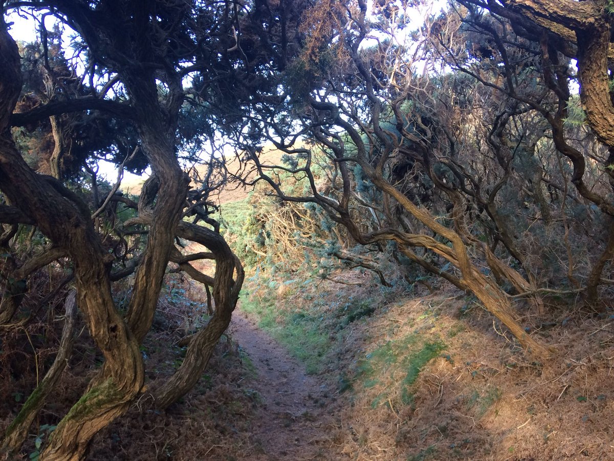 PMc276's tweet photo. Howth is good for the soul https://t.co/jZ8H50kxxO