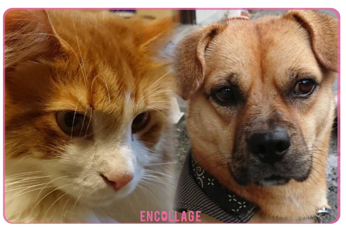 あーやん™ (@a_____chan0810) / Posts / X