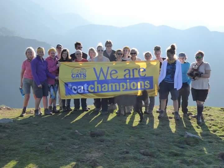 The tiger Trek team made it to the top of Triund, then onto Kanha national park.  What an amazing experience!!!