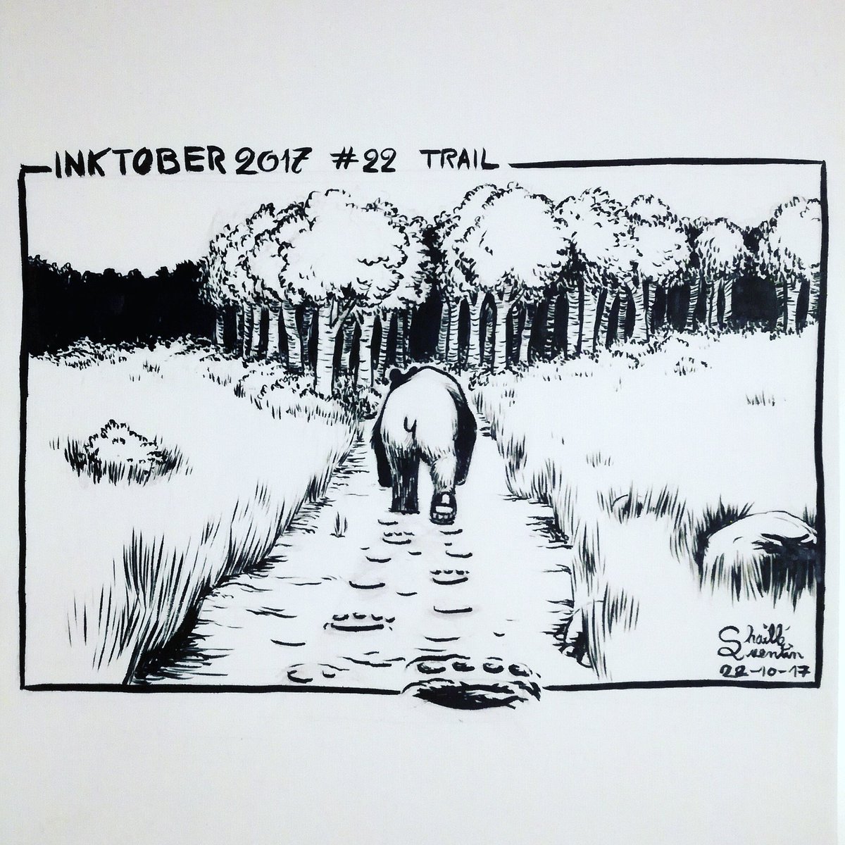 quentinchaille's tweet photo. #Inktober #Inktober2017 #Inktober2017Number22 #Trail #beartrails #bear #brownbear #bearRear #InkDrawing #InkIllustration #InkingWithABrush https://t.co/BmjpOvixqq