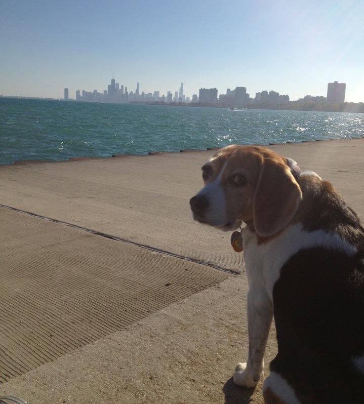 Chicago our beautiful hometown!