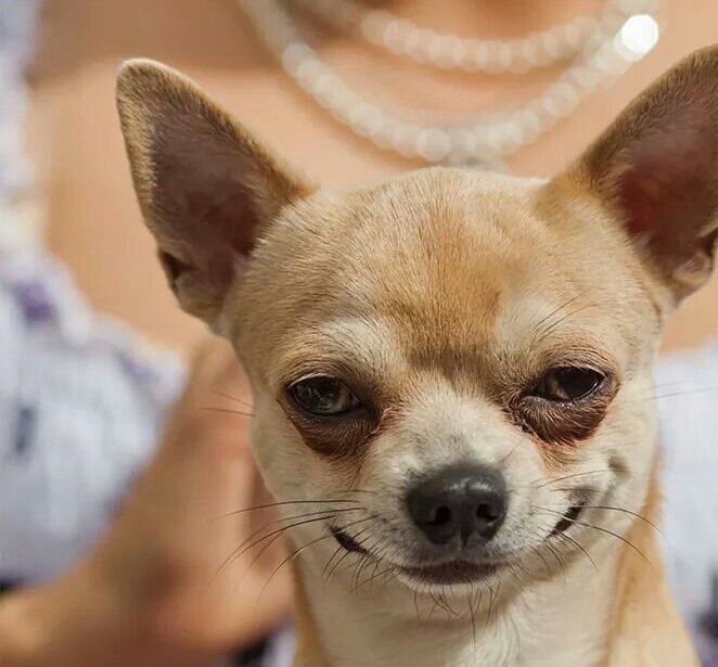 MejoresTwits's tweet photo. Tu cara, cuando intentas disimular la borrachera https://t.co/Co9gLjGP8W