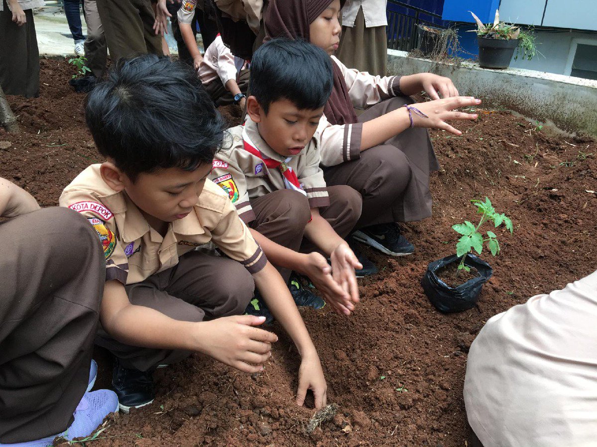 YSEALISeeds's tweet photo. 👀 at these #YSEALISeeds growing in elementary schools in Indonesia (via @fgtleader ) https://t.co/FGPrWD2Mud