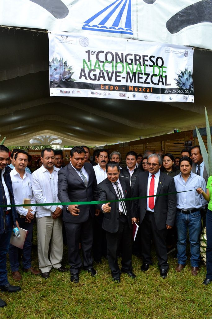 PromueveHidro's tweet photo. #NotaCompartida
Primer congreso nacional de agave-mezcal del IPN
Conoce más aquí: https://t.co/5xXQQ3Ns2B https://t.co/wkoSpfCpSX