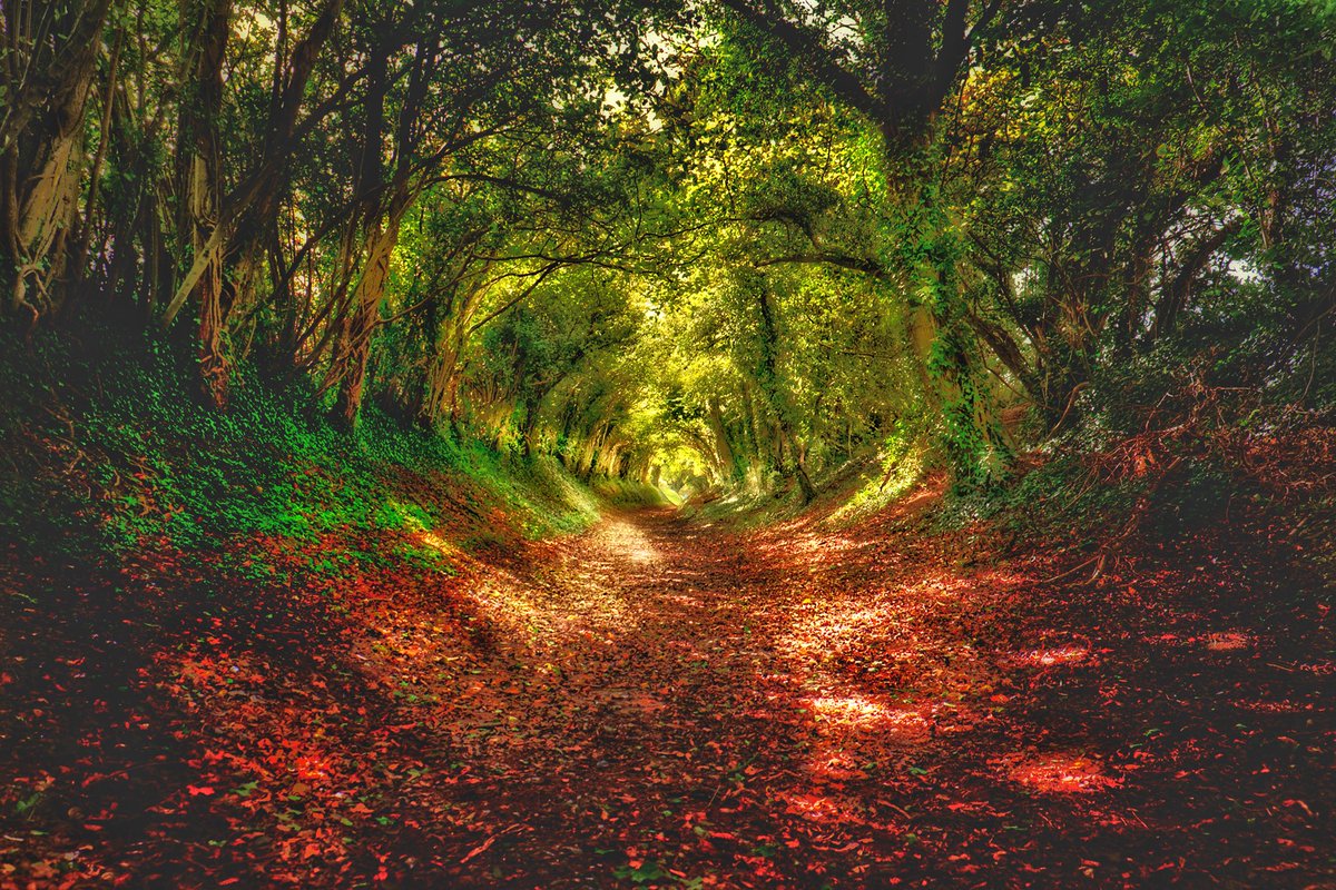 sollyleviphoto's tweet photo. #sussex #halnaker #landscapephotography https://t.co/f4kdegyWNZ