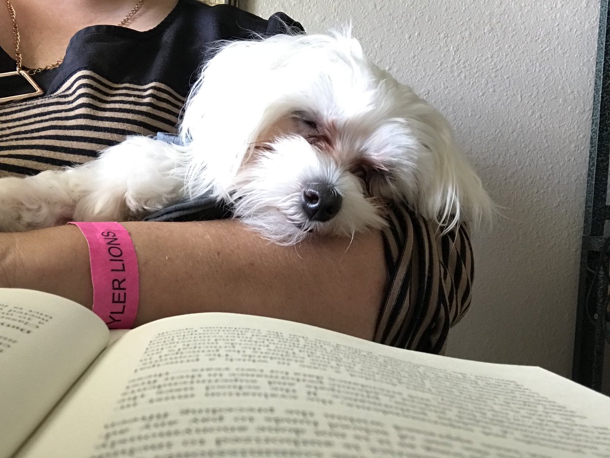 _AprilGriffin's tweet image. School law is awesome!  Buddy is helping me out! #masterswork #uttylergraduatestudies @UTTylerSoE  #MayGRAD #🙌🏼🙌🏼