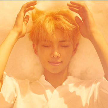 BangtanAsFlower's tweet photo. • Namjoon https://t.co/nE6TKzvrLS