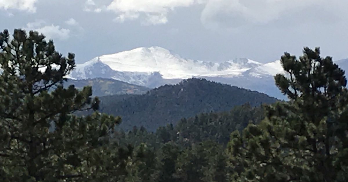 Edward Sine Art tweet media