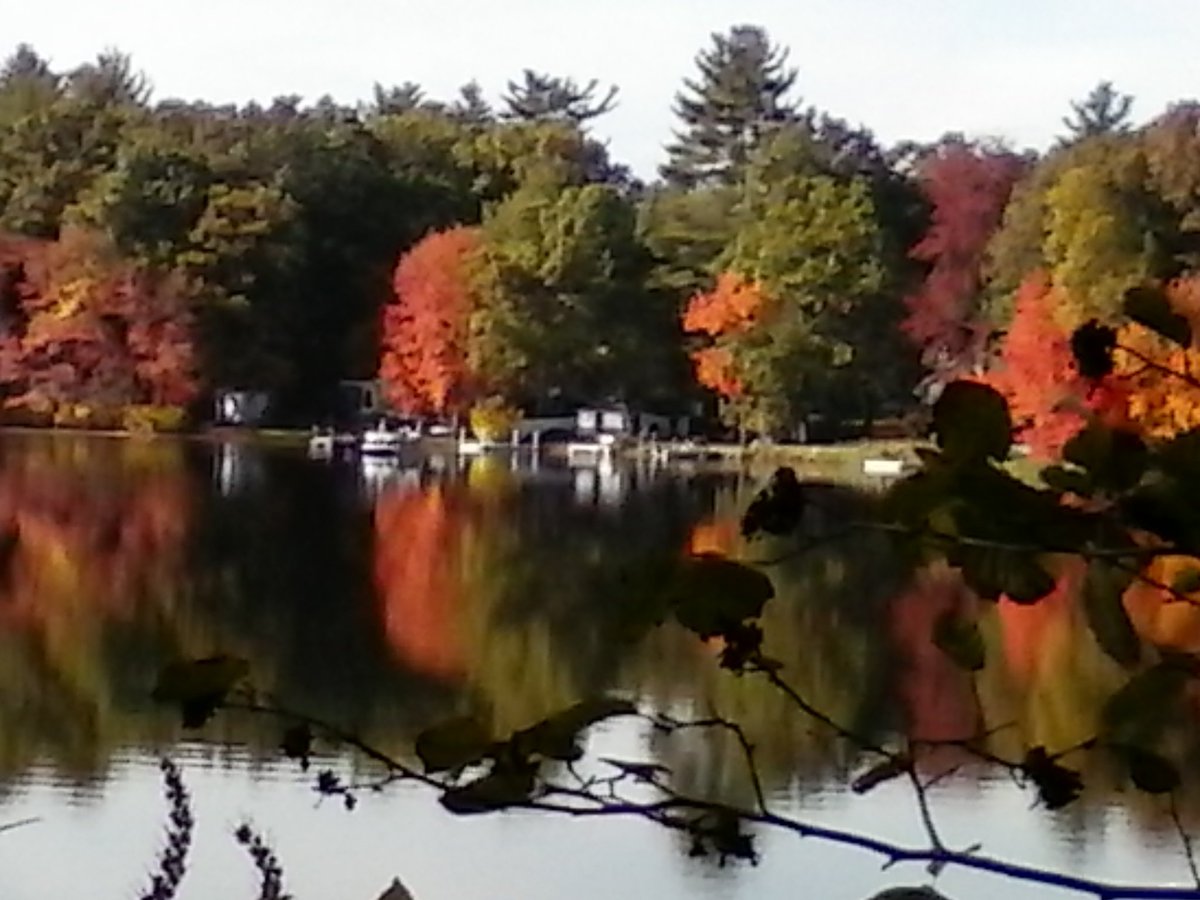 TMAN1108pm's tweet photo. #HornePond in #ChelmsfordMa on #BruceFreemanBikeTrail. 16 miles RT today. #IndianSummer2017 https://t.co/MOKG5MjxzF