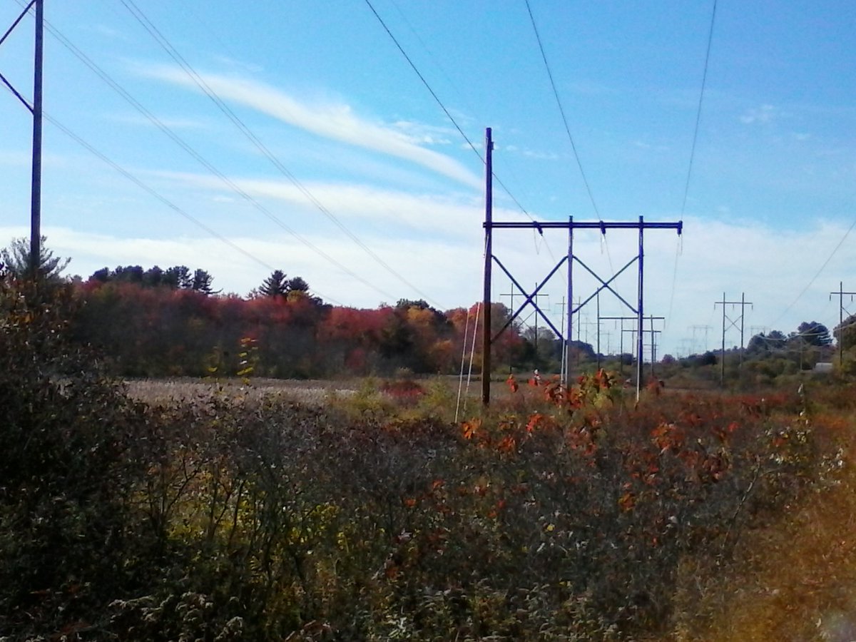 TMAN1108pm's tweet photo. Power line trail off the #BruceFreemanBikeTrail.. A rugged and beautiful workout on the bike.. https://t.co/8hxrP2OmEC