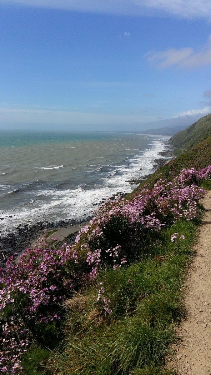 ClaireGoodlet's tweet photo. Escarpment 10k walk Pukerua Bay to Paekakariki - stunning. Not for those afraid of heights. https://t.co/dUMualc8Df
