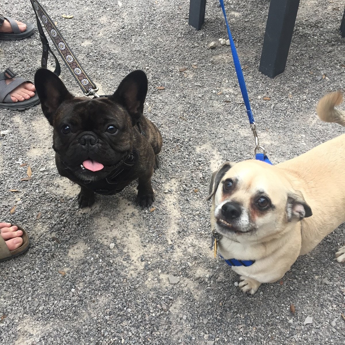 SwitchYard tweet media