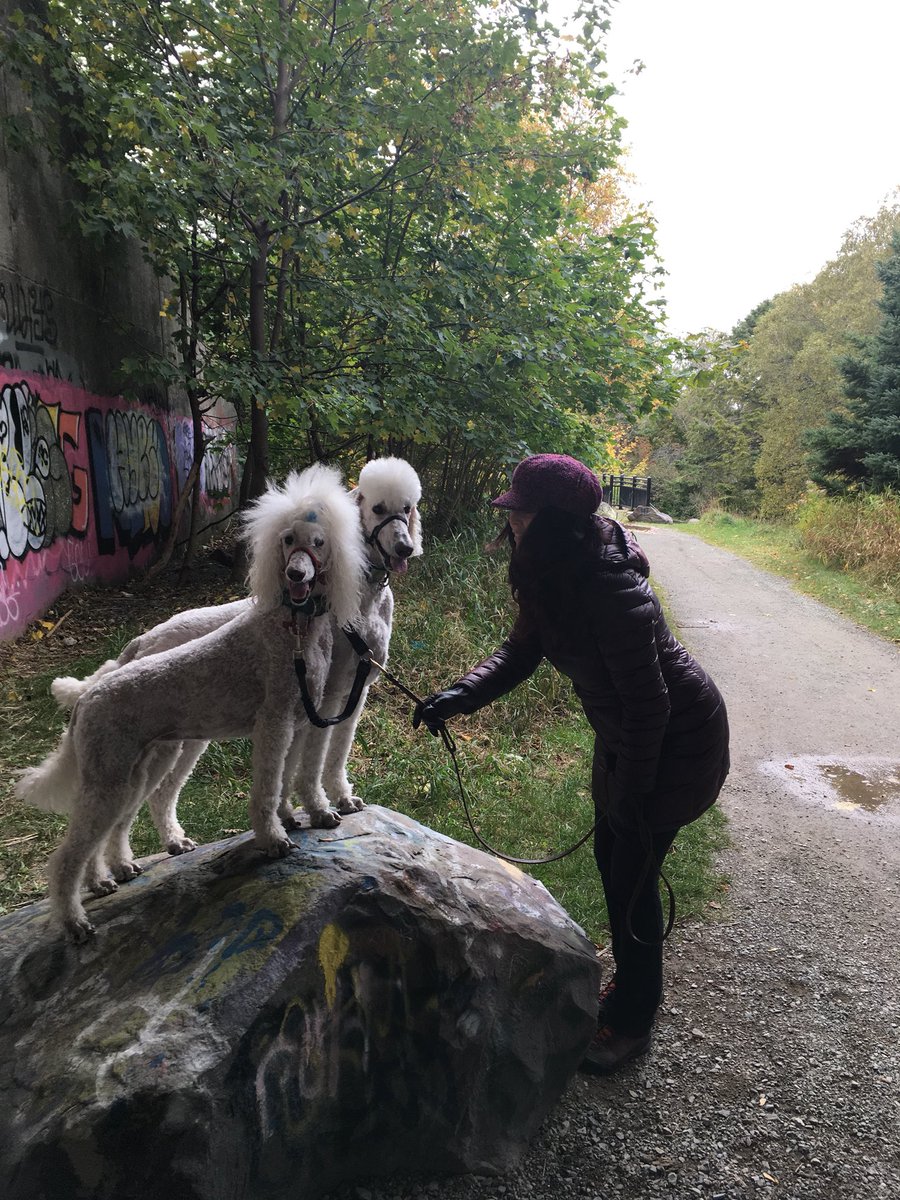 bayfabulous's tweet photo. When life is a walk in the park...all is well!  #boweringpark #lovemylife https://t.co/7VtLvbA1Jo