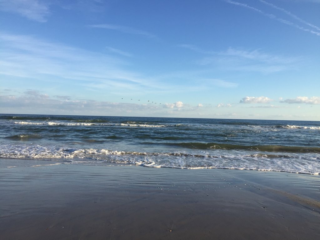 crystalroams's tweet photo. From the Oregon Coast to the North Carolina Coast in 2 weeks.
#coasttocoast #pacifictoatlantic #roadtrip #beach #coast #oregon #nc #travel https://t.co/8jMekyUFKN