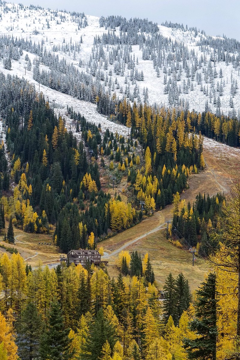 echtracabin's tweet photo. Winter is up and around the bend... #whitefish #whitefishmountainresort #bigmountain https://t.co/whaglDyD1b