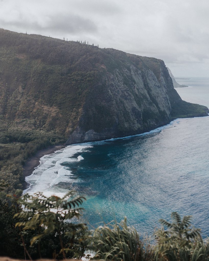 OceanObsessions's tweet image. E X P L O R E 🌴