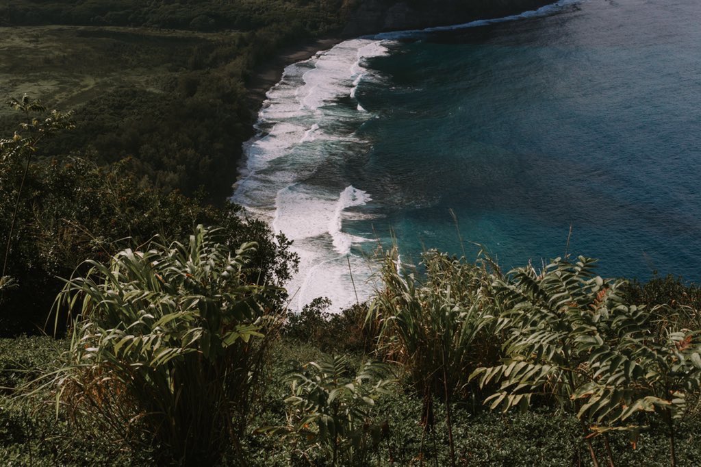 OceanObsessions's tweet image. E X P L O R E 🌴