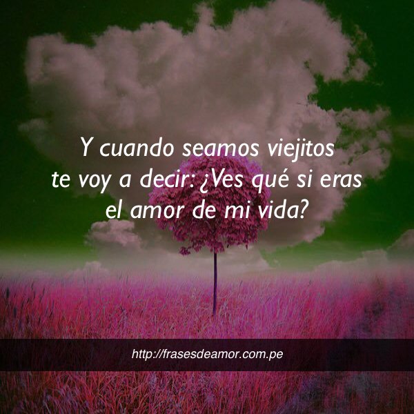 frasesDamorr2's tweet photo. Y cuando seamos viejitos... #frasesdeamor https://t.co/AtWIH6O2wH https://t.co/b0TuNnpyDS