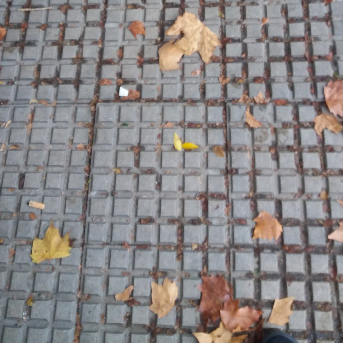 gonzalezLaura98's tweet photo. Una espera entretenida. Propiedad distributiva #matematicazas @SantaolallaElsa @Inescomillas98 https://t.co/I0FN8gRWEF
