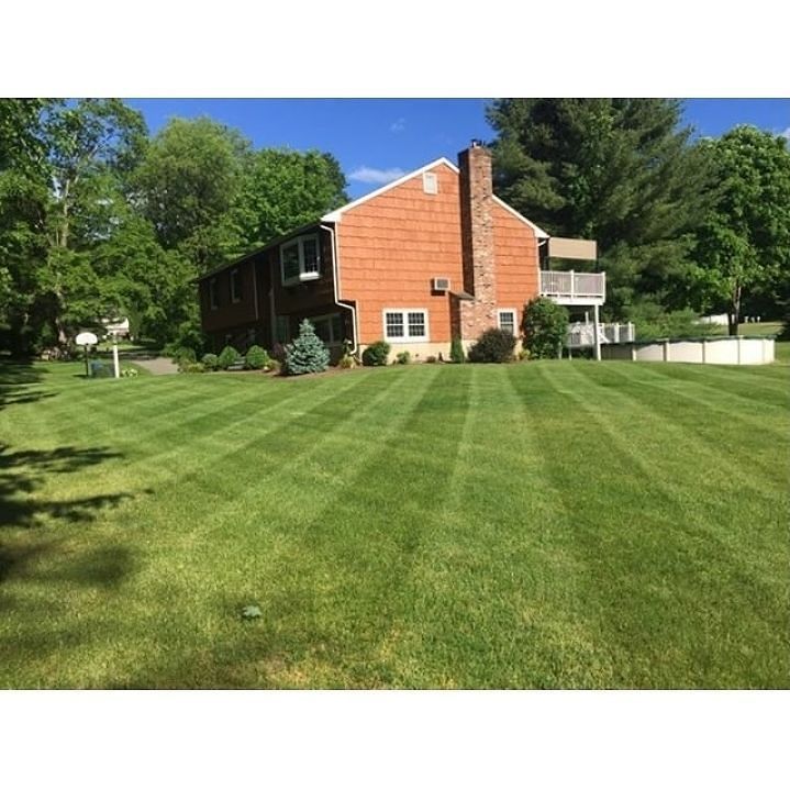 ScagPower's tweet photo. Today's stripes come to us from @big_mike Great work Mike! #scag #scagnation #scagmowers #simplythebest #landscapi… https://t.co/duaupJqSbV https://t.co/cmRimlgJfm